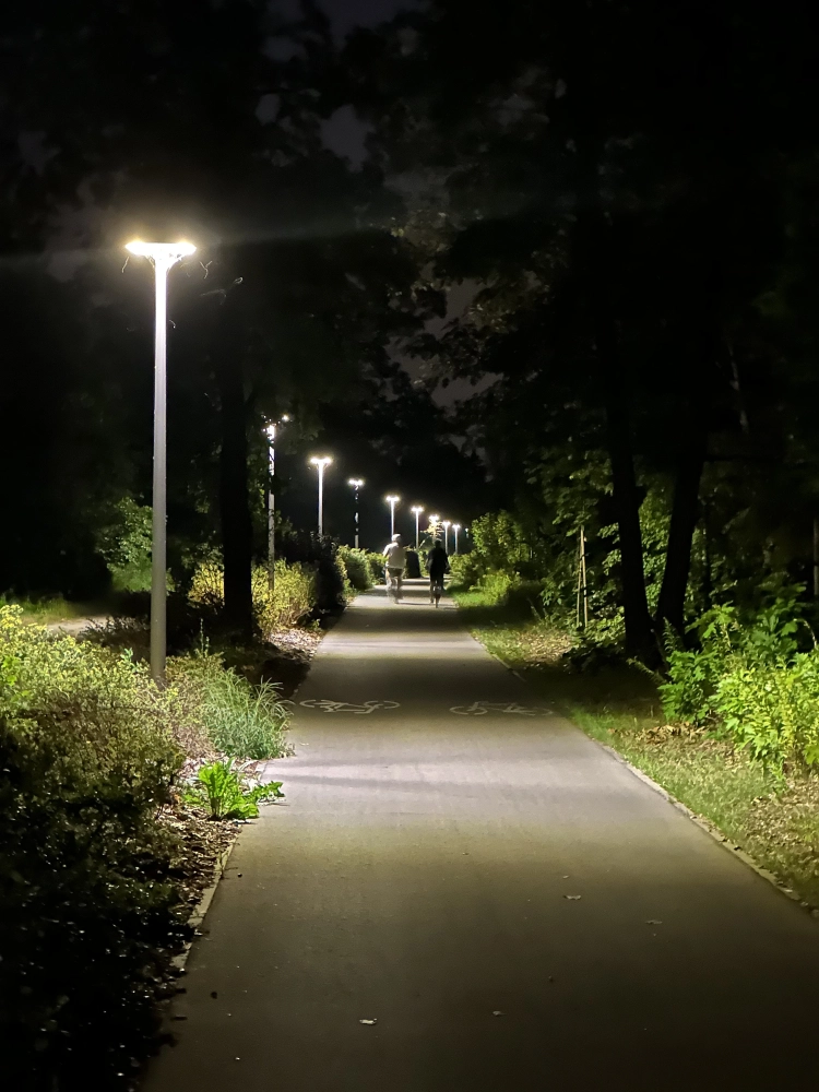 The Atmosphere of Bike Rides