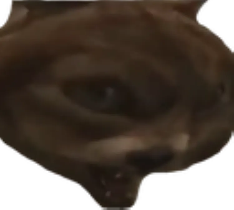 VOLK